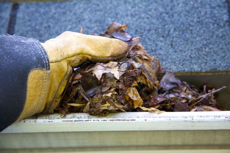 Gutter Leaves Removal in Bergen County, NJ